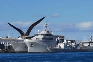 Vanuit Marrakech: Casablanca dagtrip beleven '