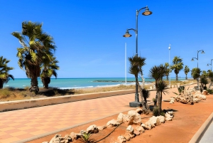 Vanuit Marrakech: Casablanca dagtrip beleven '