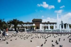 マラケシュ発：カサブランカ日帰り旅行体験