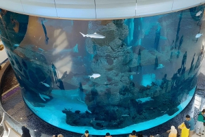 マラケシュ発：カサブランカ日帰り旅行体験