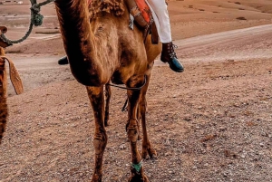 Depuis Marrakech : atelier culinaire et excursion d'une journée dans l'Atlas