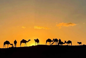 Depuis Marrakech : atelier culinaire et excursion d'une journée dans l'Atlas