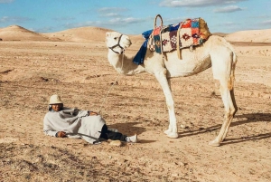 Depuis Marrakech : atelier culinaire et excursion d'une journée dans l'Atlas