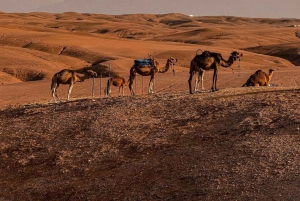 Depuis Marrakech : atelier culinaire et excursion d'une journée dans l'Atlas