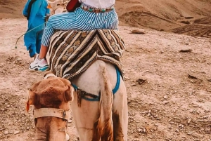 Depuis Marrakech : atelier culinaire et excursion d'une journée dans l'Atlas