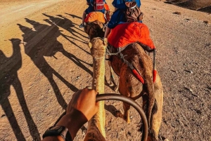 Depuis Marrakech : atelier culinaire et excursion d'une journée dans l'Atlas