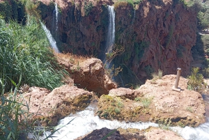 From Marrakech: Day Tour to Ouzoud Waterfalls