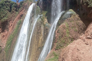 From Marrakech: Day Tour to Ouzoud Waterfalls