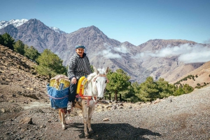 Z Marrakeszu 1-dniowa wycieczka rowerem elektrycznym w górach Atlas