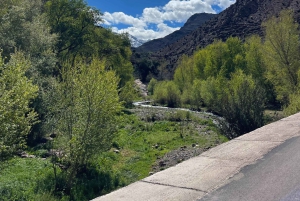 Z Marrakeszu 1-dniowa wycieczka rowerem elektrycznym w górach Atlas