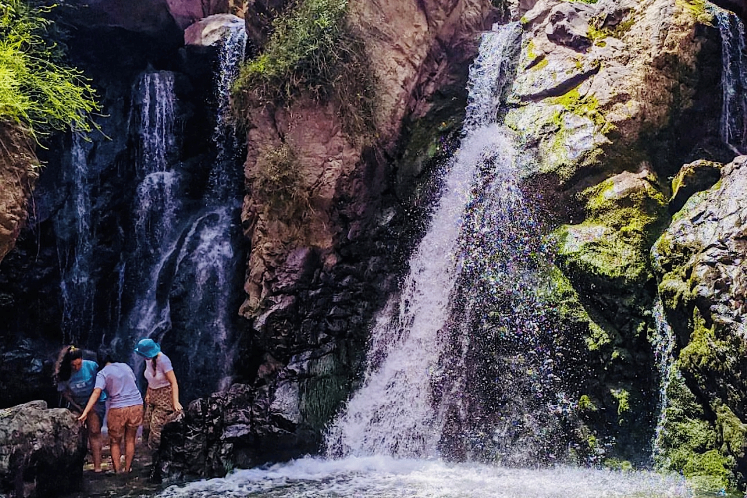 From Marrakech: Day Trip to Anima Garden and Imlil Valley