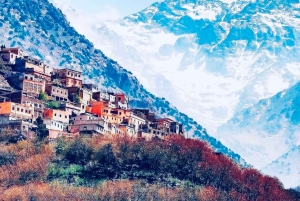 From Marrakech: Day Trip to Anima Garden and Imlil Valley