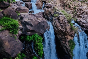 From Marrakech: Day Trip to Anima Garden and Imlil Valley