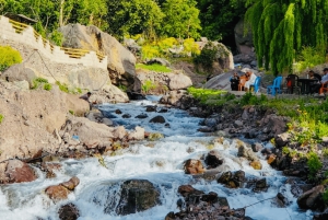 From Marrakech: Day Trip to Anima Garden and Imlil Valley