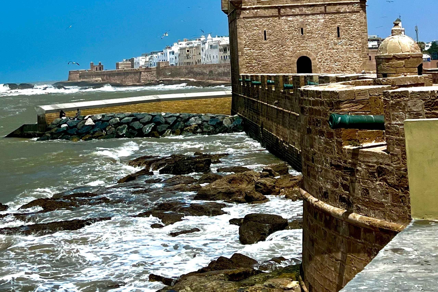 Fra Marrakech: Dagstur til Essaouira med transport