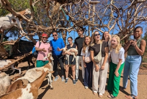 Fra Marrakech: Dagstur til Essaouira med transport