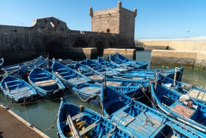 Fra Marrakech: Dagstur til Essaouira med transport