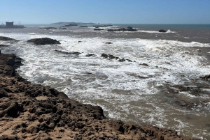 Fra Marrakech: Dagstur til Essaouira med transport