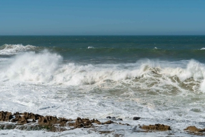 Fra Marrakech: Dagstur til Essaouira med transport