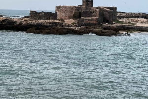 Fra Marrakech: Dagstur til Essaouira med transport