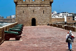 Fra Marrakech: Dagstur til Essaouira med transport