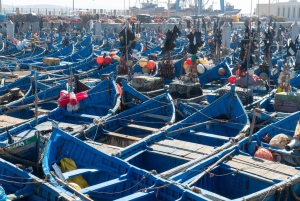 Fra Marrakech: Dagstur til Essaouira med transport