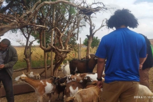 Fra Marrakech: Dagstur til Essaouira med transport