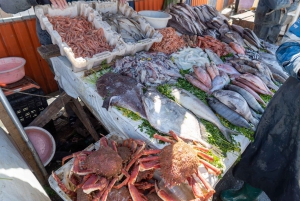 Fra Marrakech: Dagstur til Essaouira med transport