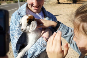 Fra Marrakech: Dagstur til Essaouira med transport