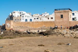 Fra Marrakech: Dagstur til Essaouira med transport