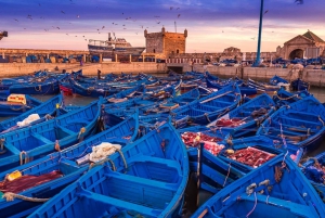 Desde Marrakech: Excursión de un día a Essaouira