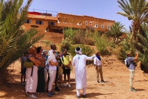 From Marrakech: Day Trip to Ouarzazate and Ait Benhaddou