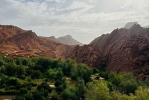 From Marrakech: Day Trip to Ouarzazate and Ait Benhaddou