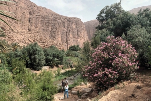 From Marrakech Day Trip To Ouzoud Waterfalls
