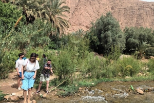 From Marrakech Day Trip To Ouzoud Waterfalls