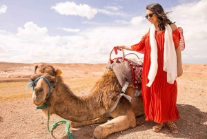 From Marrakech: Day Trip to the High Atlas Mountains