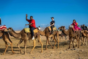 ab Marrakesch: Wüste Agafay Quad Tour mit Abendessen & Show