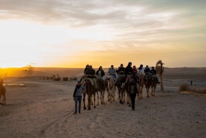 from Marrakech: Desert Agafay Quad Tour with Dinner & Show