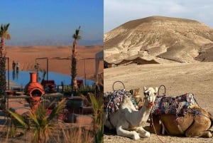 From Marrakech: Agafay Desert, Camel Sunset, Meal & show