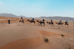 From Marrakech: Agafay Desert, Camel Sunset, Meal & show