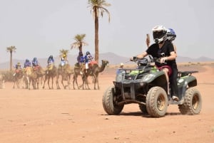 From Marrakech: Desert Sunset Quad Tour and Camel Ride