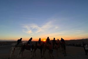 Buggy Marrakech: Agafay Desert Buggy Tours & Dinner Show