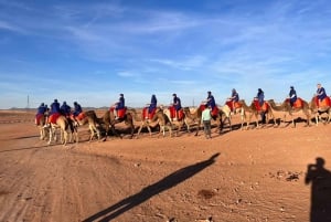 Buggy Marrakech: Agafay Desert Buggy Tours & Dinner Show