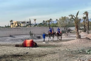 Buggy Marrakech: Agafay Desert Buggy Tours & Dinner Show