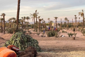 Buggy Marrakech: Agafay Desert Buggy Tours & Dinner Show