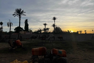 Buggy Marrakech: Agafay Desert Buggy Tours & Dinner Show