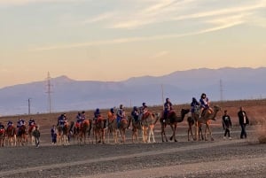 Buggy Marrakech: Agafay Desert Buggy Tours & Dinner Show