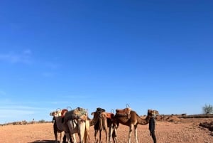 Buggy Marrakech: Agafay Desert Buggy Tours & Dinner Show