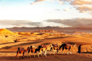 Au départ de Marrakech : Dîner dans le désert d'Agafay avec coucher de soleil et étoiles