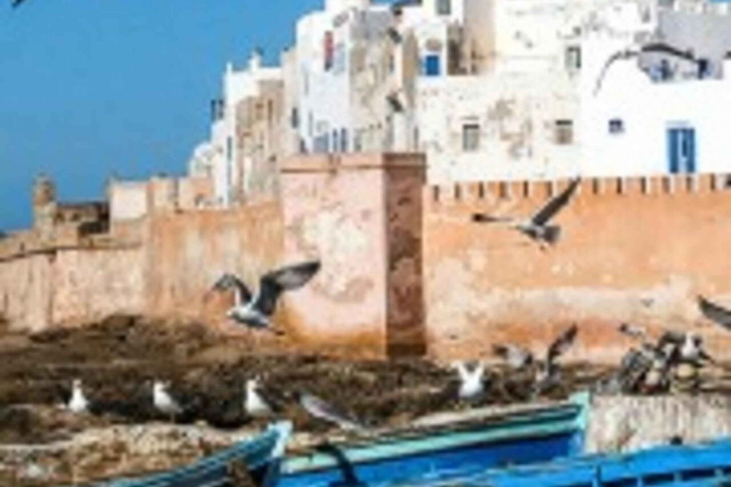 From Marrakech : Essaouira 01 day trip & argan cooperative